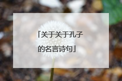 关于关于孔子的名言诗句