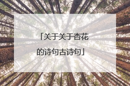 关于关于杏花的诗句古诗句