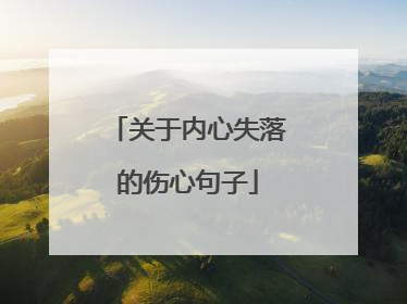 关于内心失落的伤心句子