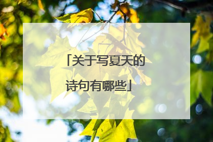 关于写夏天的诗句有哪些