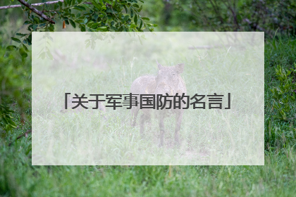 关于军事国防的名言