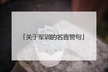 关于军训的名言警句