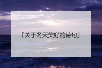 关于冬天美好的诗句