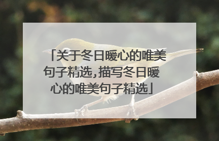 关于冬日暖心的唯美句子精选,描写冬日暖心的唯美句子精选