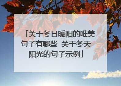 关于冬日暖阳的唯美句子有哪些 关于冬天阳光的句子示例