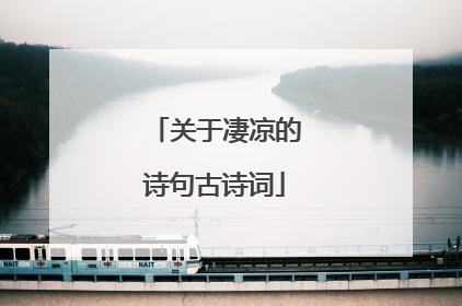 关于凄凉的诗句古诗词