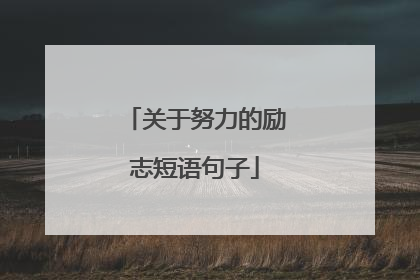 关于努力的励志短语句子