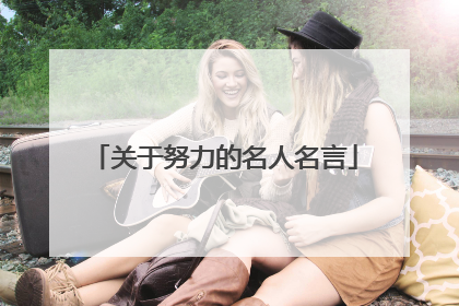 关于努力的名人名言