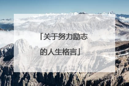 关于努力励志的人生格言