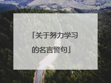 关于努力学习的名言警句