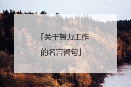 关于努力工作的名言警句