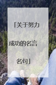 关于努力成功的名言名句