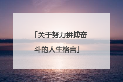 关于努力拼搏奋斗的人生格言
