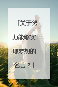 关于努力能够实现梦想的名言?
