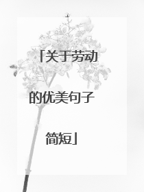 关于劳动的优美句子简短