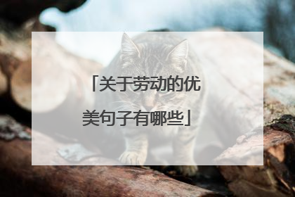 关于劳动的优美句子有哪些