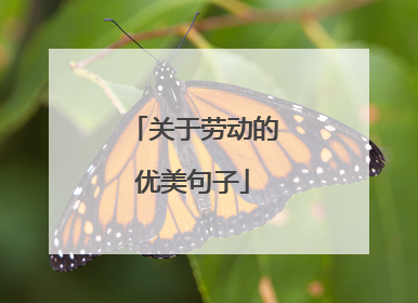 关于劳动的优美句子
