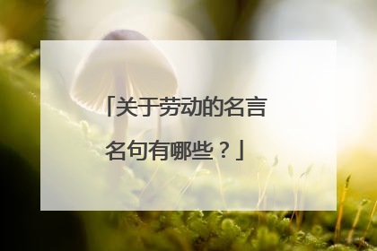 关于劳动的名言名句有哪些？