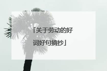 关于劳动的好词好句摘抄