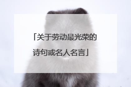 关于劳动最光荣的诗句或名人名言