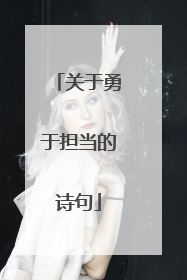 关于勇于担当的诗句