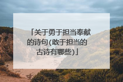 关于勇于担当奉献的诗句(敢于担当的古诗有哪些)