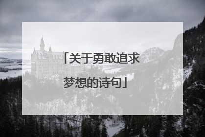 关于勇敢追求梦想的诗句