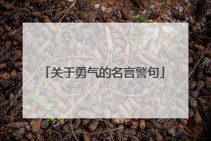 关于勇气的名言警句