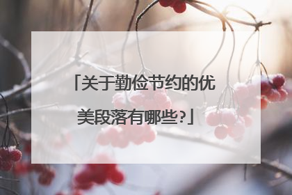 关于勤俭节约的优美段落有哪些?