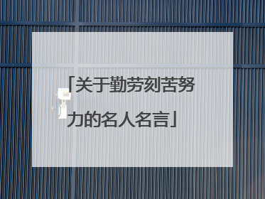 关于勤劳刻苦努力的名人名言