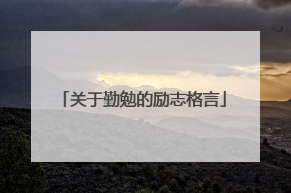 关于勤勉的励志格言
