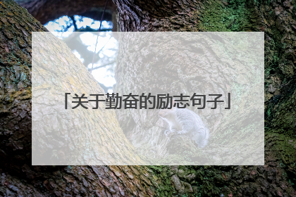 关于勤奋的励志句子