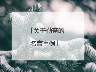 关于勤奋的名言事例