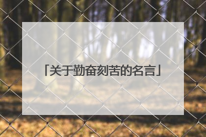 关于勤奋刻苦的名言