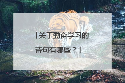 关于勤奋学习的诗句有哪些?