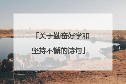 关于勤奋好学和坚持不懈的诗句