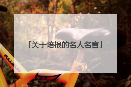 关于培根的名人名言