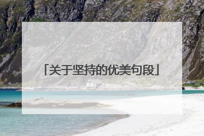 关于坚持的优美句段