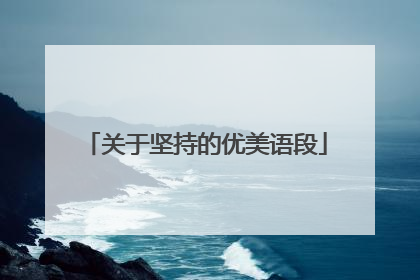 关于坚持的优美语段