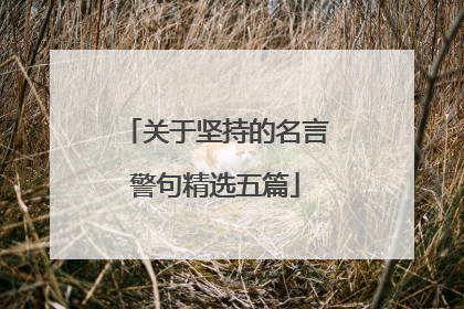 关于坚持的名言警句精选五篇