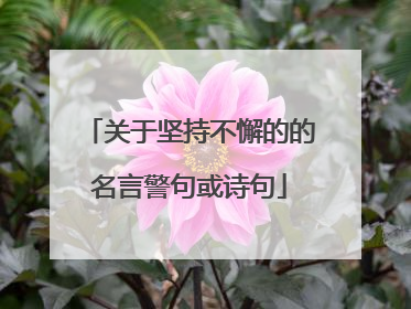关于坚持不懈的的名言警句或诗句