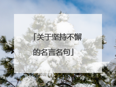 关于坚持不懈的名言名句