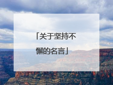 关于坚持不懈的名言