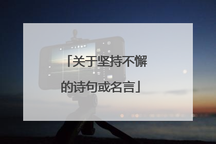 关于坚持不懈的诗句或名言