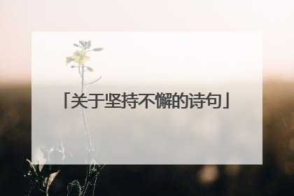 关于坚持不懈的诗句