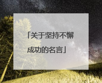 关于坚持不懈成功的名言