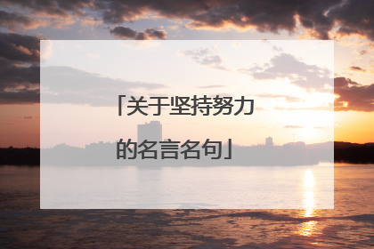 关于坚持努力的名言名句
