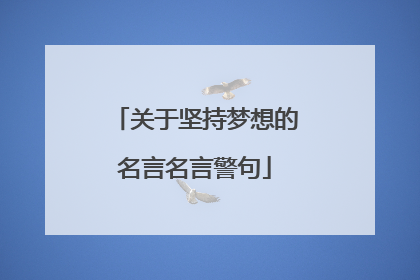 关于坚持梦想的名言名言警句