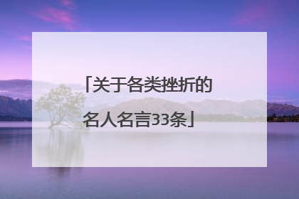 关于各类挫折的名人名言33条