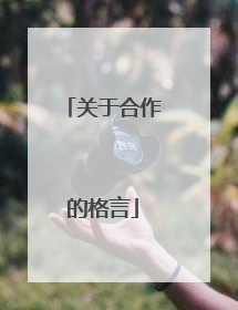 关于合作的格言